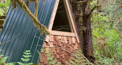 A-Frame #16 Shelter near Olympic National Park