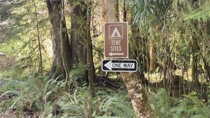 A sign indicating tent sites and a one-way direction.