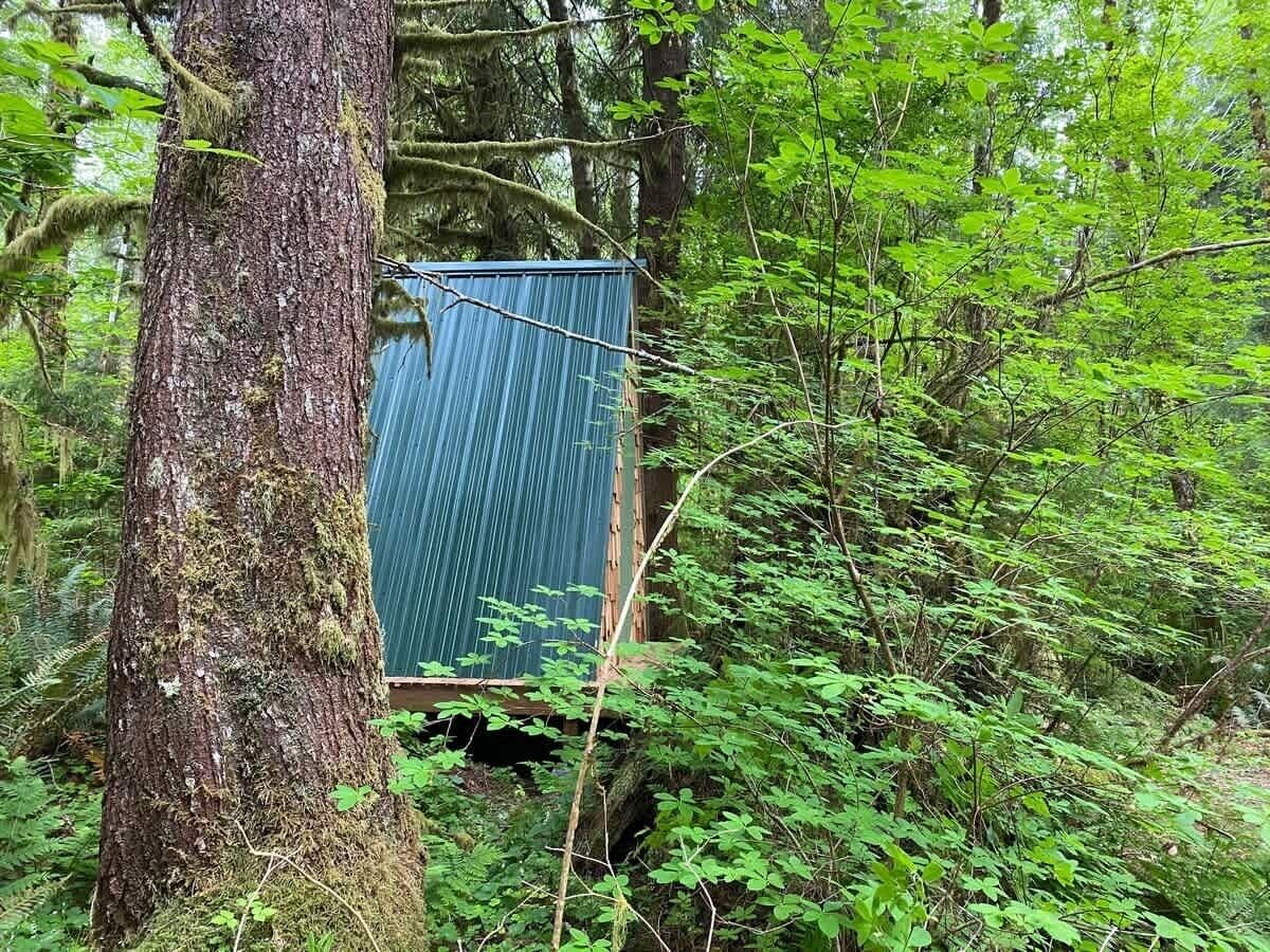 A small, blue, corrugated metal structure in a forested area, surrounded by dense green foliage.