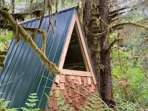 Una pequeña cabaña de madera triangular con techo de metal, rodeada de un bosque denso.