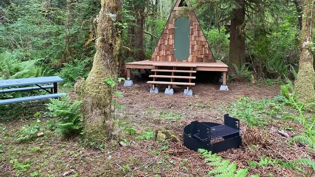 Una baita di legno con tetto a punta immersa in una foresta.