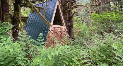 A-Frame #16 Shelter near Olympic National Park