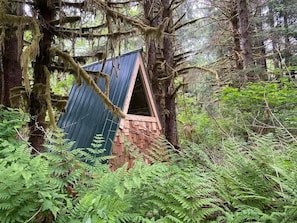 Una pequeña cabaña rústica con techo triangular, ubicada entre helechos y árboles en un bosque.