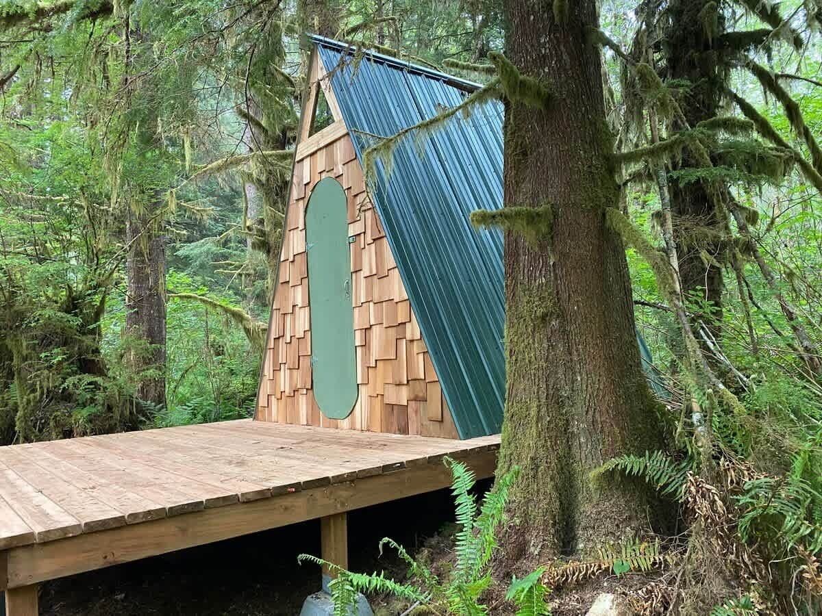 A wooden deck with a triangular roof structure, surrounded by dense forest.
