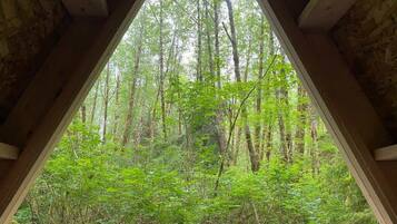 Uitzicht vanuit accommodatie