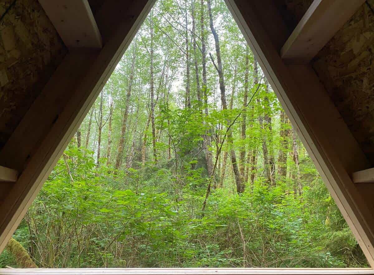A triangular window framing a dense forest view.
