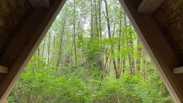 A triangular window framing a dense forest view.