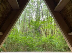 A triangular window framing a dense forest view. - A-Frame #16 Shelter near Olympic National Park (Forks)