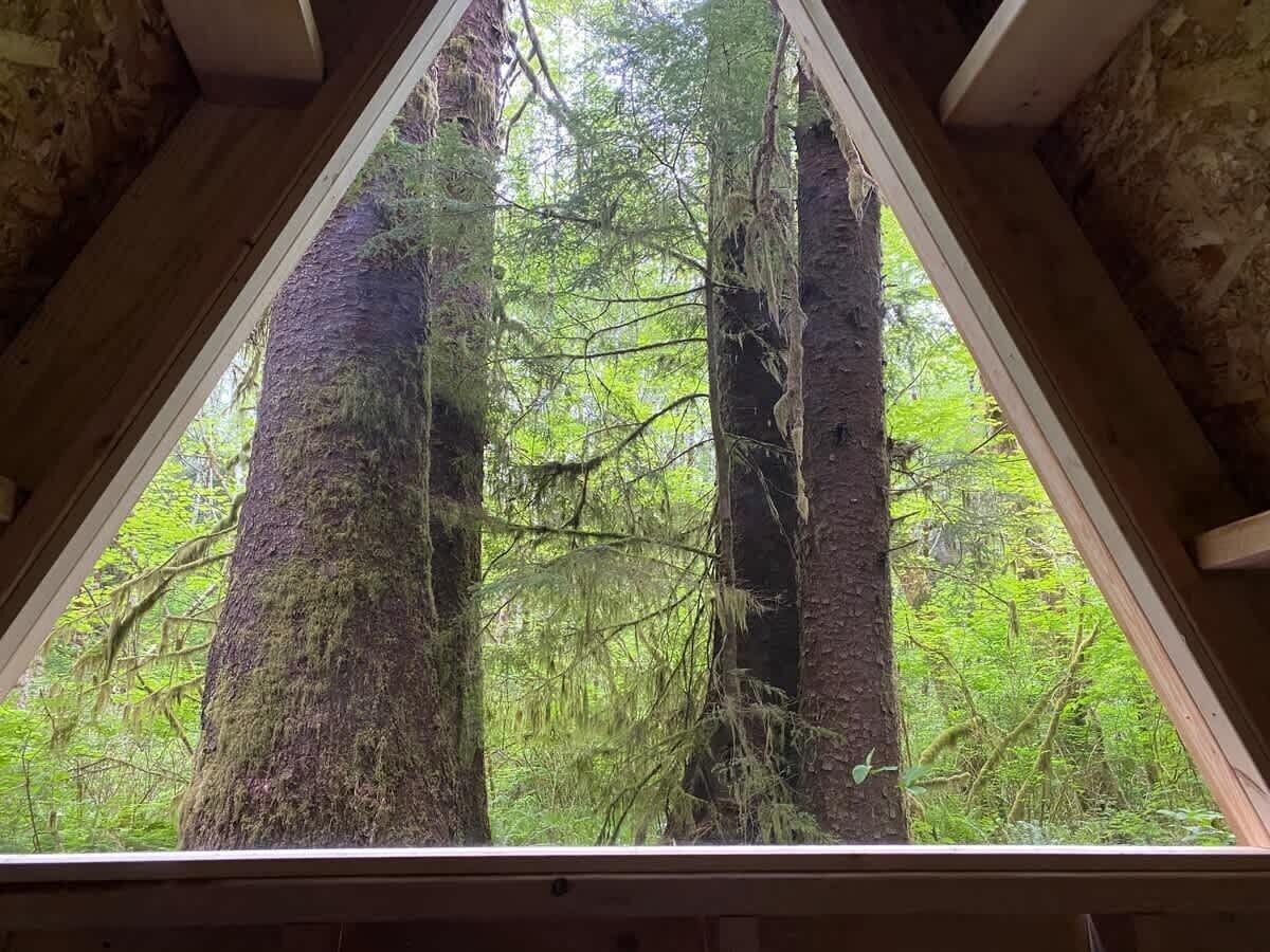 Una ventana triangular enmarca una vista de bosque tupido.