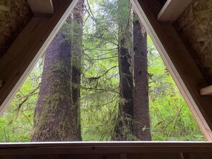 Une fenêtre triangulaire encadrant une vue sur une forêt dense.