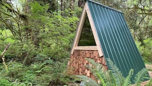 Een klein, driehoekig houten bouwwerk met een groen dak, omgeven door weelderige begroeiing.