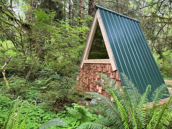 A small, triangular wooden structure with a green roof, surrounded by dense forest vegetation.