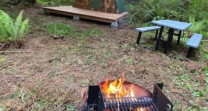 A-Frame #17 Shelter near Olympic National Park