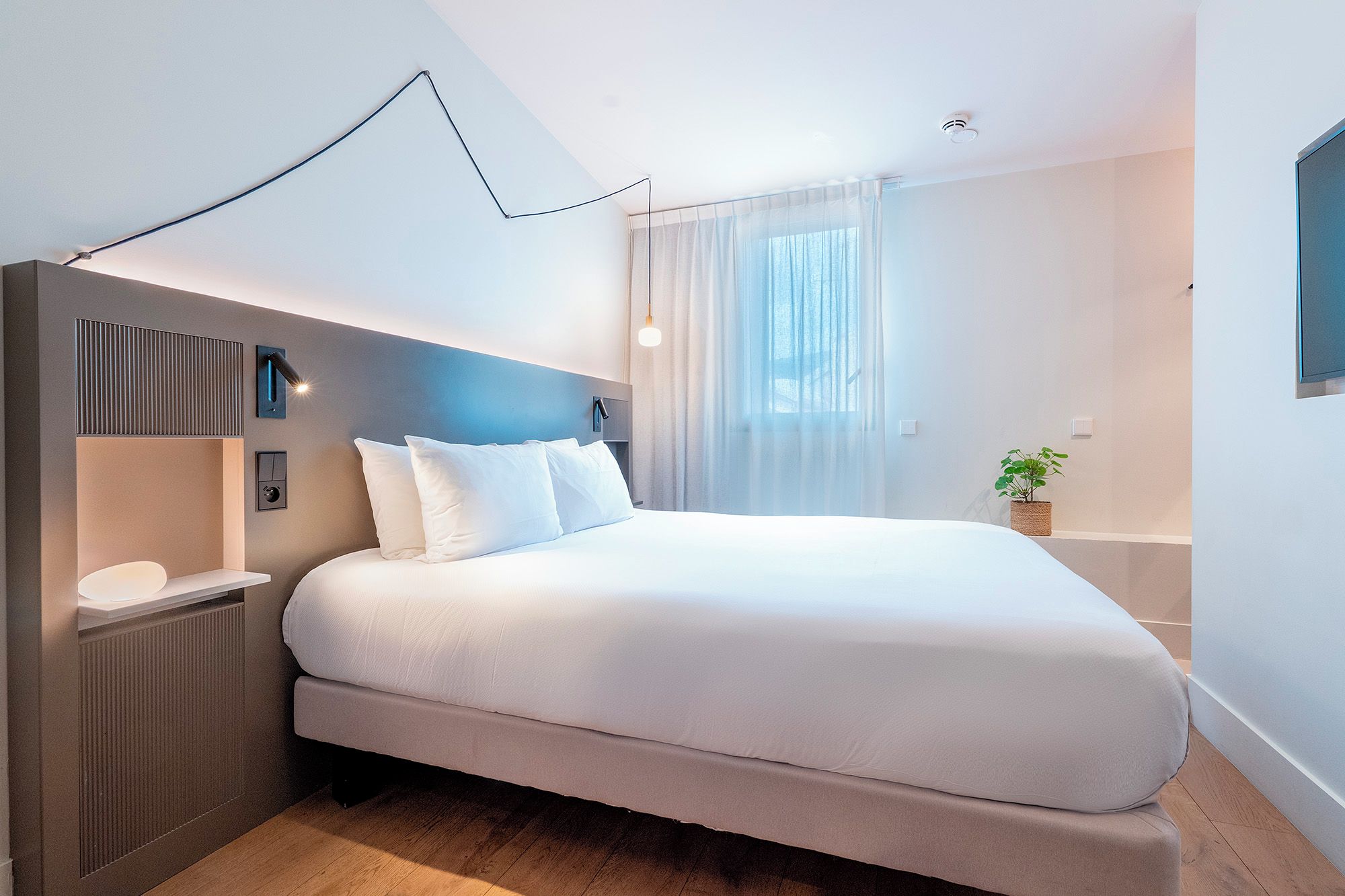 Una camera d'albergo moderna con un letto grande, un comodino, una lampada a parete e una pianta in vaso.