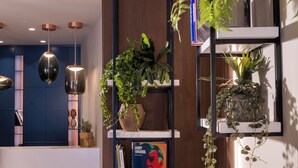 Una recepción moderna con pared azul, paneles de madera y un mostrador blanco. Se observan tres lámparas colgantes, estantes con plantas y un cuadro enmarcado de Andy Warhol.