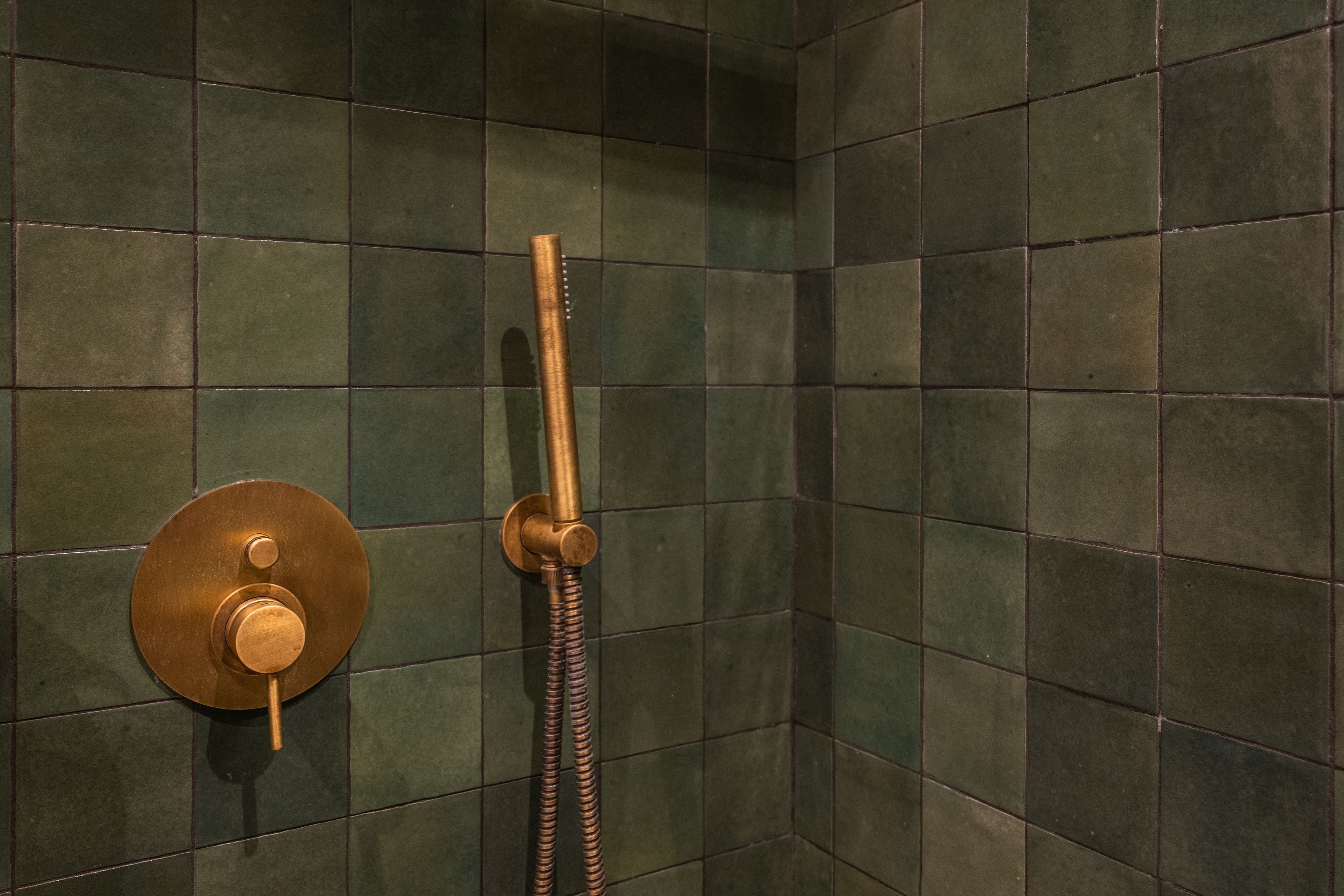 Une douche avec un robinet en laiton et un tuyau.