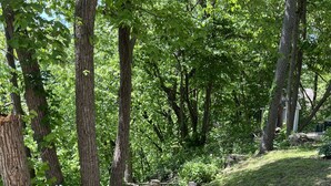A stone pathway leading through a wooded area with a wooden railing on one side.
