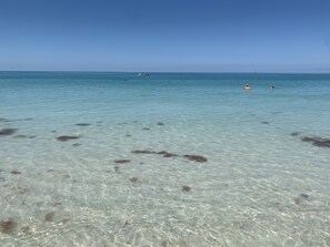 A clear beach with visible seaweed on the sand and a few people in the water.