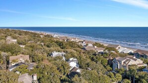 A coastal residential area with houses surrounded by trees and a view of the ocean.