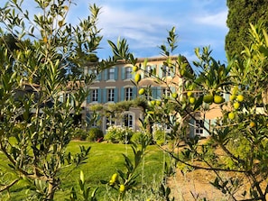 Exterior - Domaine de Valmouriane (St.-Rémy-de-Provence)