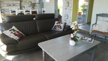Fernseher, Bücher