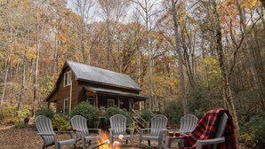 Eine Hütte mit Feuerstelle, umgeben von Adirondack-Stühlen, inmitten eines Waldes.