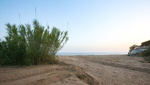 بالقرب من الشاطئ