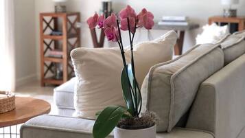 TV connectée, livres, chaßne hi-fi