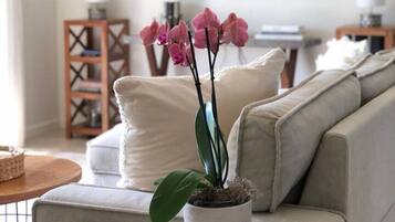 Smart-TV, Bücher, Stereoanlage