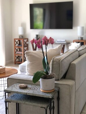 TV connectée, livres, chaßne hi-fi