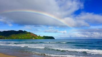 Plage à proximité, chaises longues, serviettes de plage