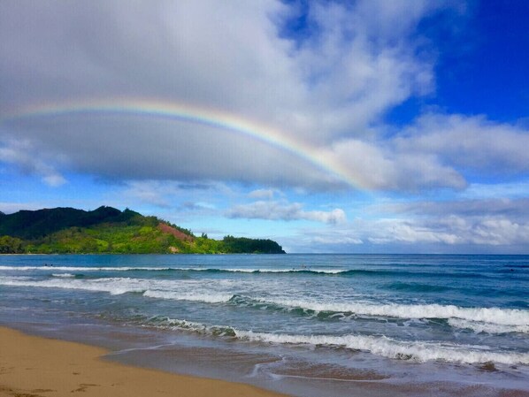 Plage à proximité, chaises longues, serviettes de plage