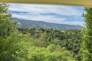 A mountainous landscape with dense forest and a few buildings.