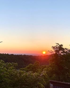 A sunset over a forested landscape with a clear sky.