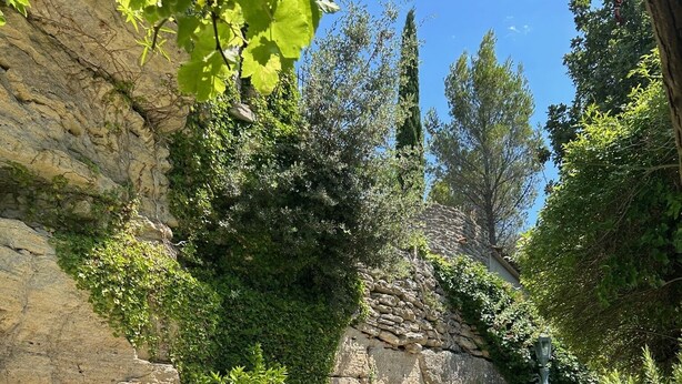 A swimming pool with a stone wall and greenery in the background. - Villa Ocre Menerbes Panoramic view Swimming pool Garden Terraces (MENERBES)