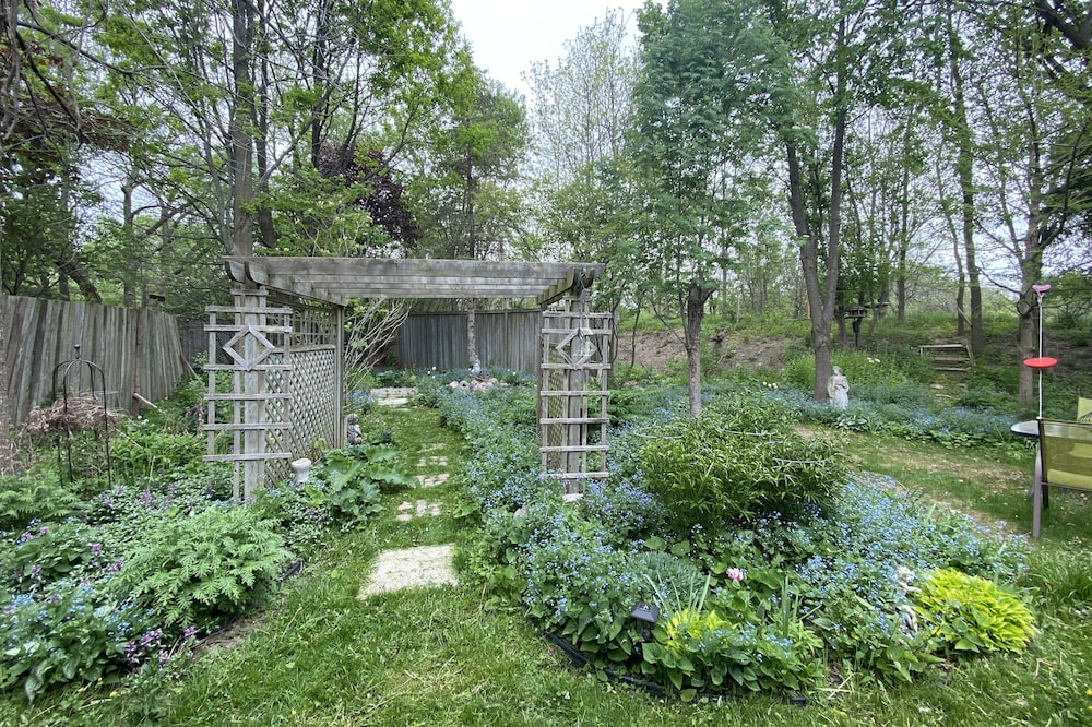 Wild Divine Sanctuary: Yoga + Nature + Zen