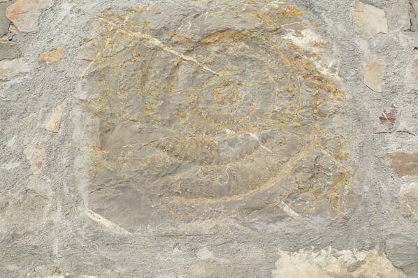A close-up of a stone surface with a circular pattern and some discoloration.