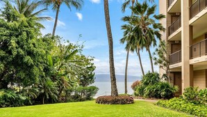 Un hotel con vista al océano, rodeado de palmeras y abundante vegetación.
