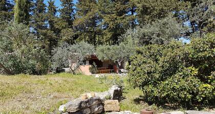 Gîte aux Pieds du Ventoux Pour 10 Pers Avec Piscine