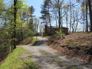 Escape to a secluded cabin nestled among the trees, surrounded by a dense forest and a winding gravel path.