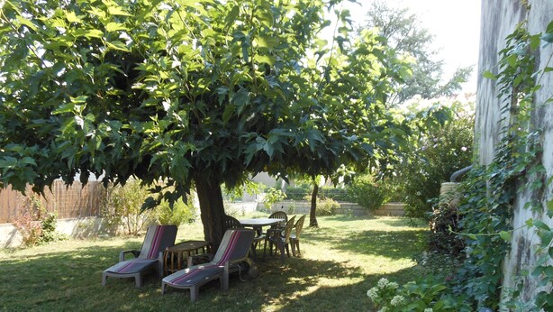 An outdoor seating area with a table and chairs under a tree, surrounded by a grassy yard and a wooden fence. - Maison de Vacances Gard/cevennes (Cardet)