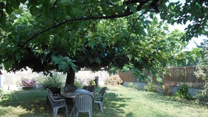 A patio area with a table and chairs under a tree, surrounded by a wooden fence and greenery. - Maison de Vacances Gard/cevennes (Cardet)
