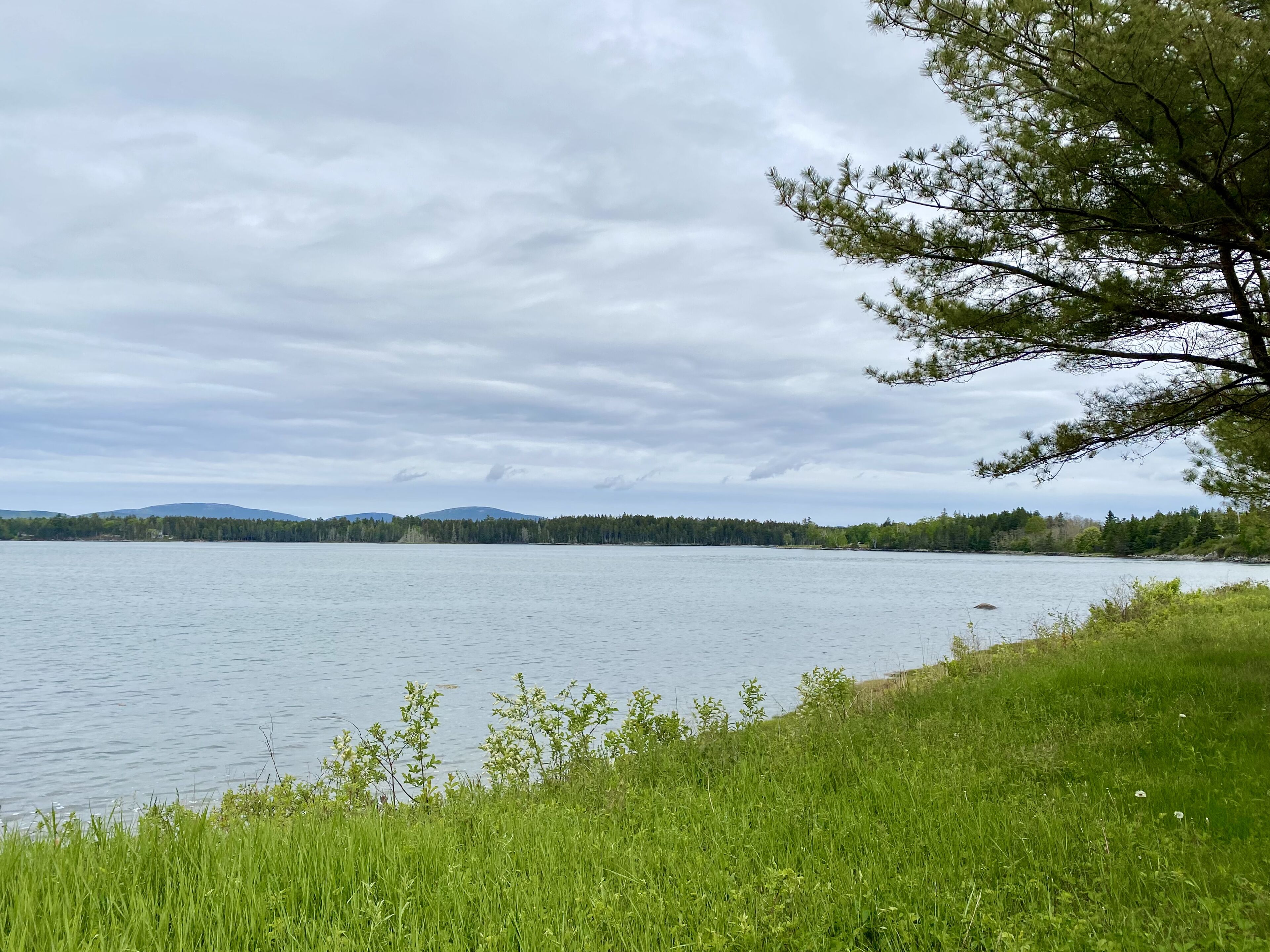 Island View Hotel Bar Harbor