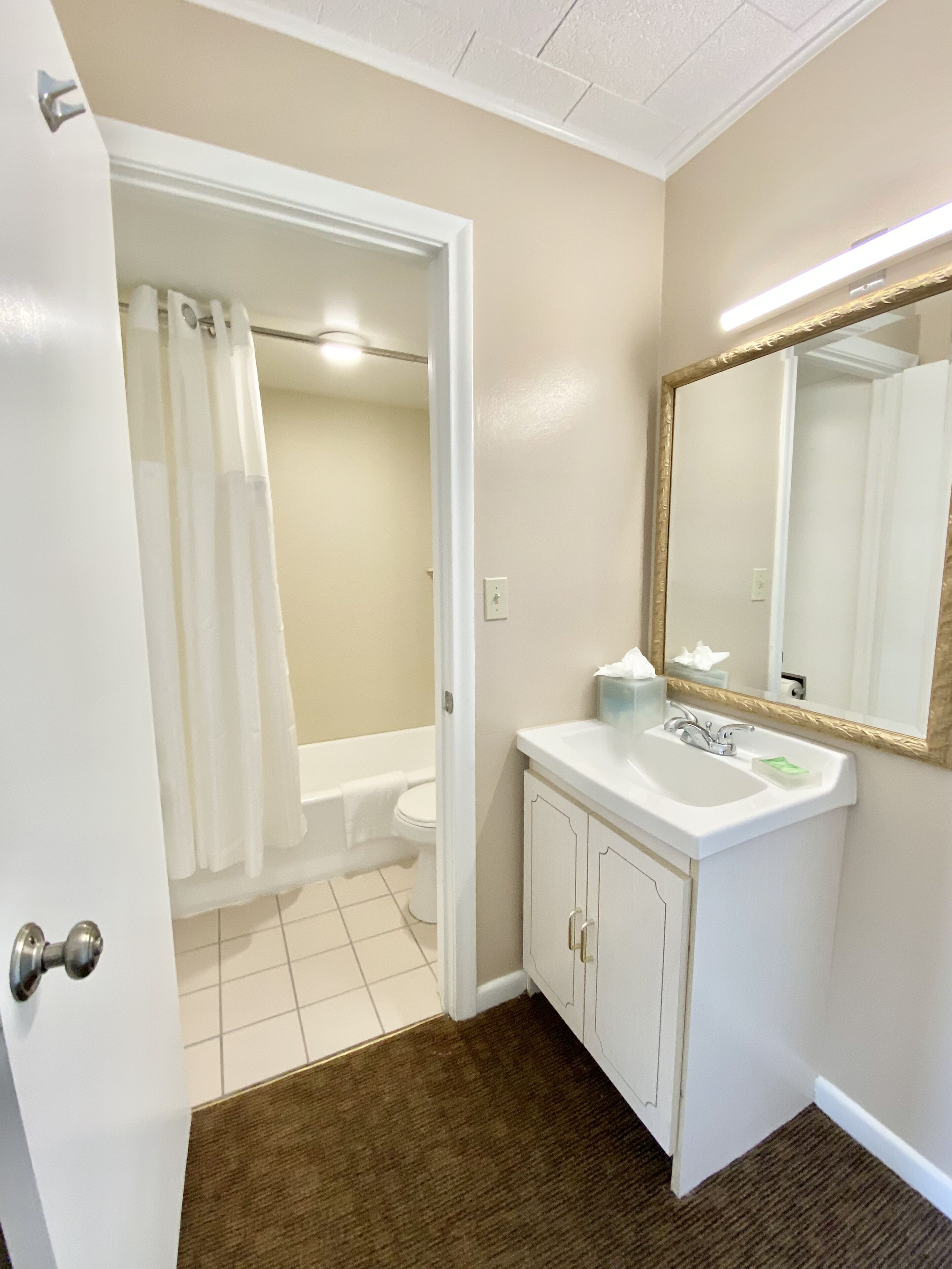 A bathroom with a shower, toilet, sink, and mirror.