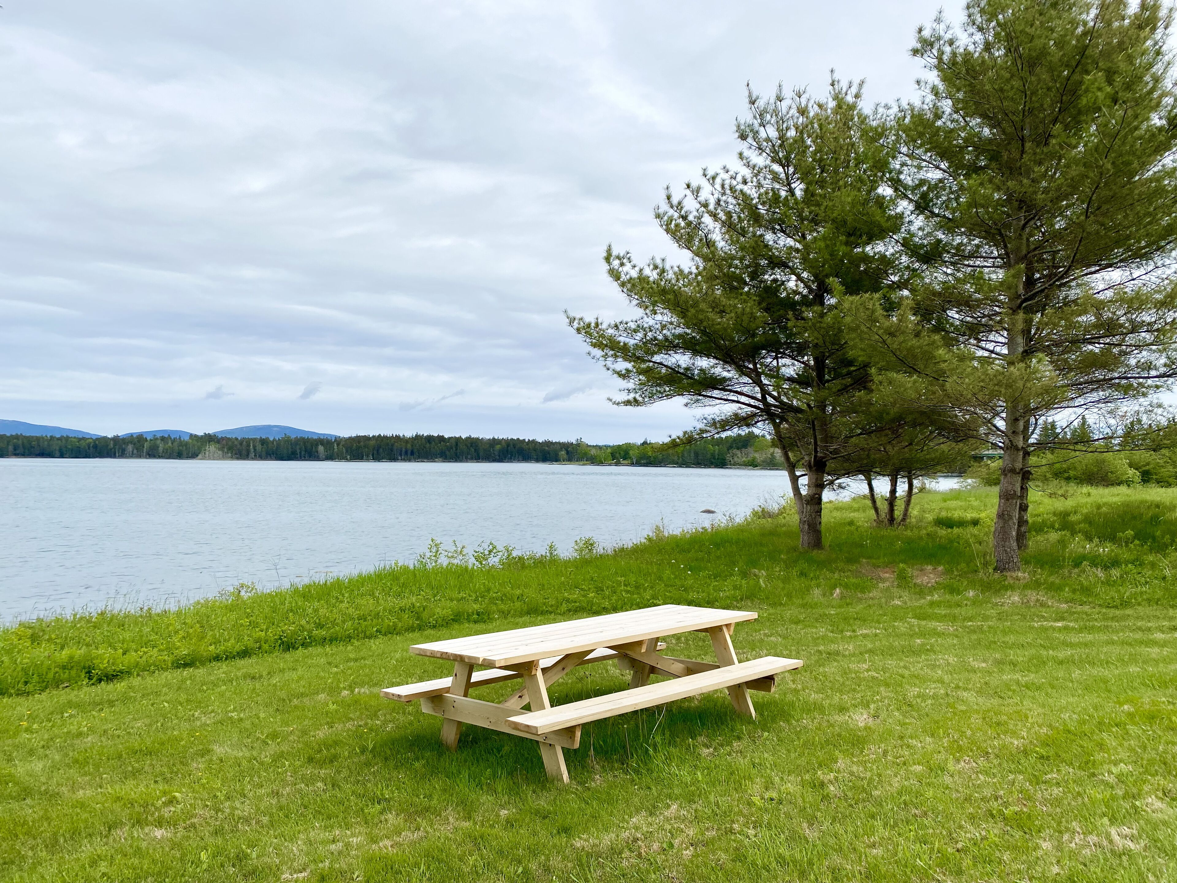 A picnic table in a grassy area near a lake with trees and mountains in the background.