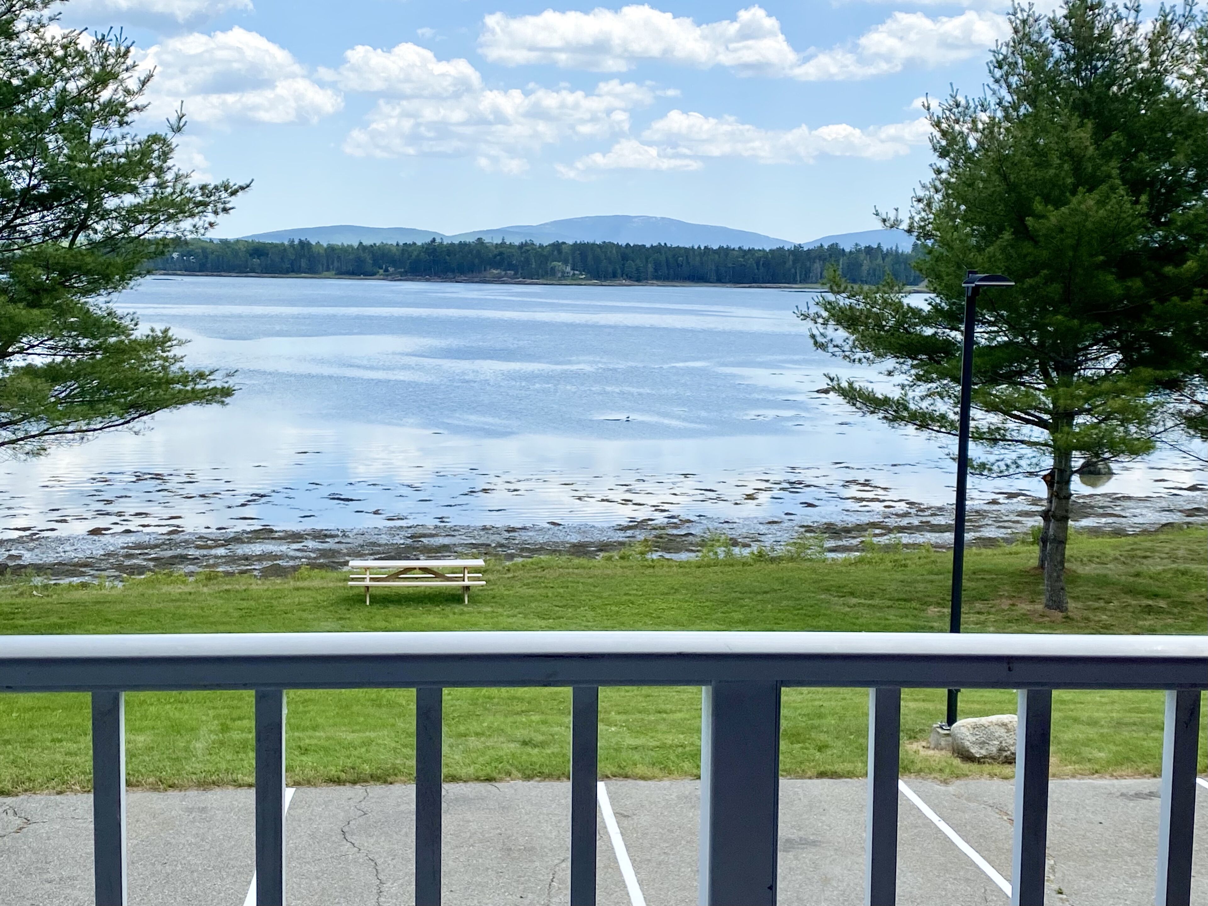 客房, 1 张特大床, 海港景观 (Upper Level) | 客房景观