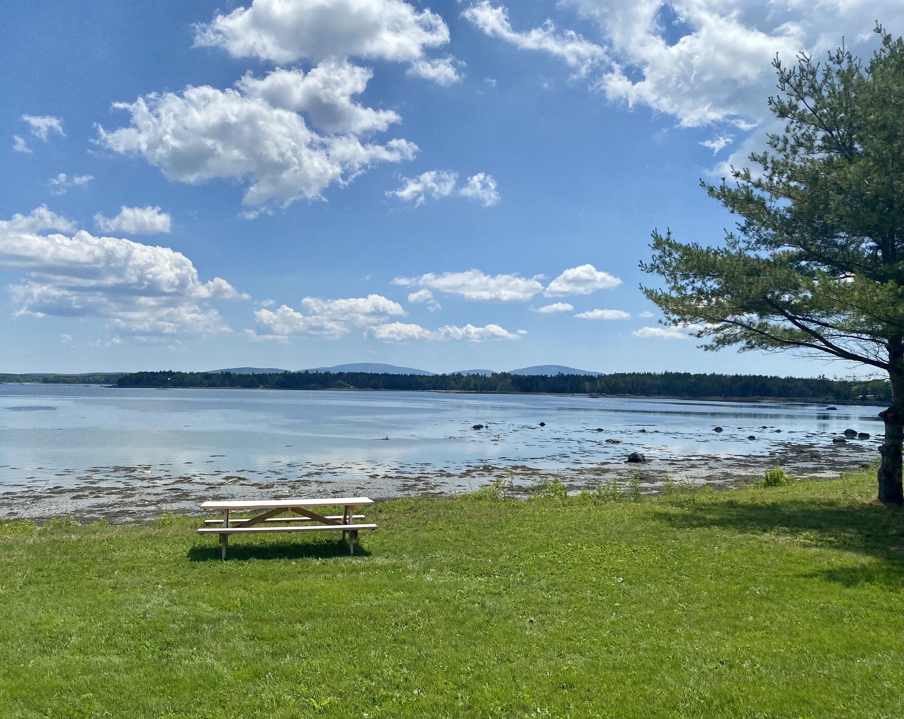 A picnic table on a grassy area by a lake with a tree to the right.