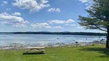 A picnic table on a grassy area by a lake with a tree to the right.