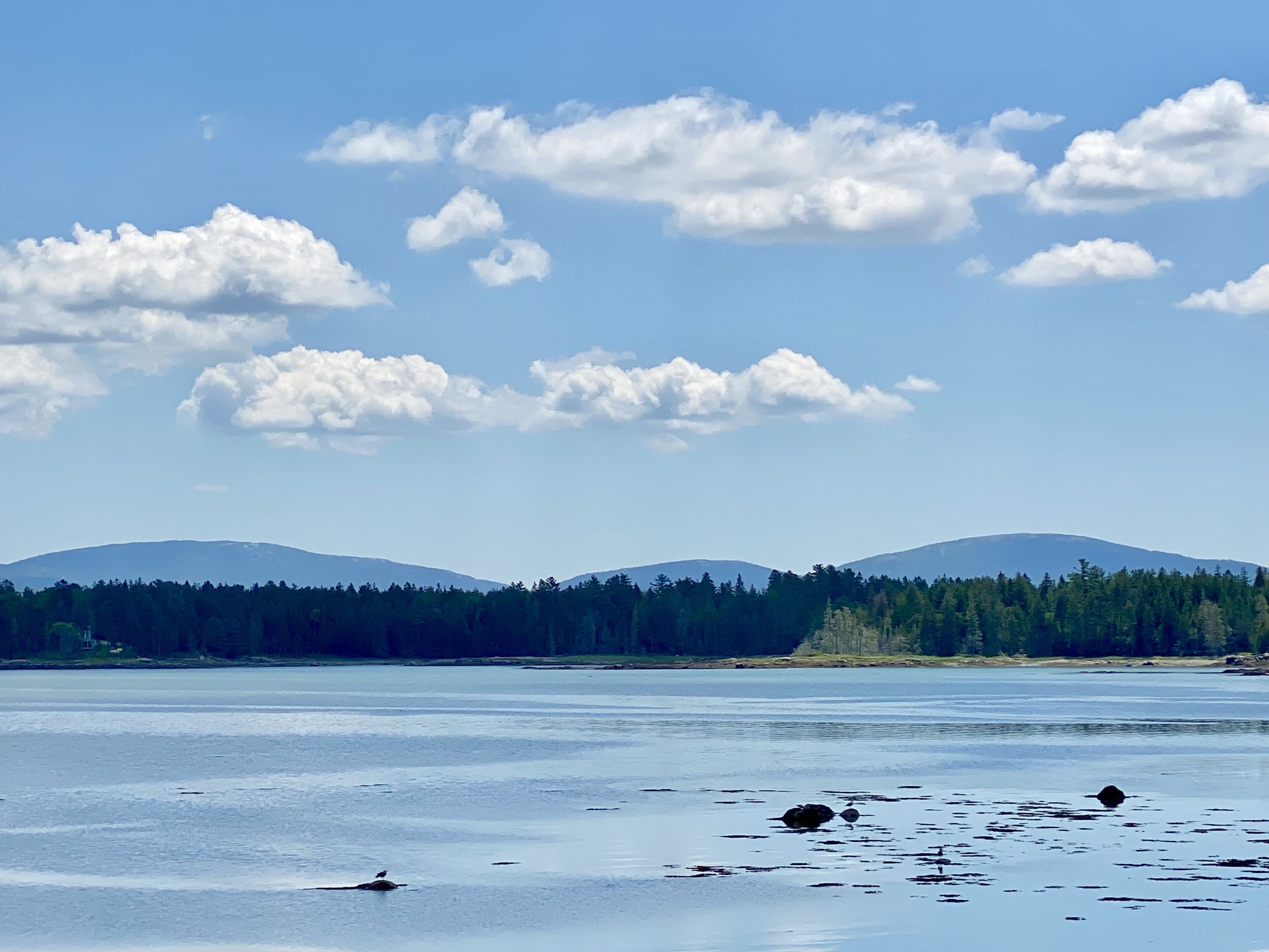 Un lac paisible, avec des montagnes en arrière-plan et une zone boisée.