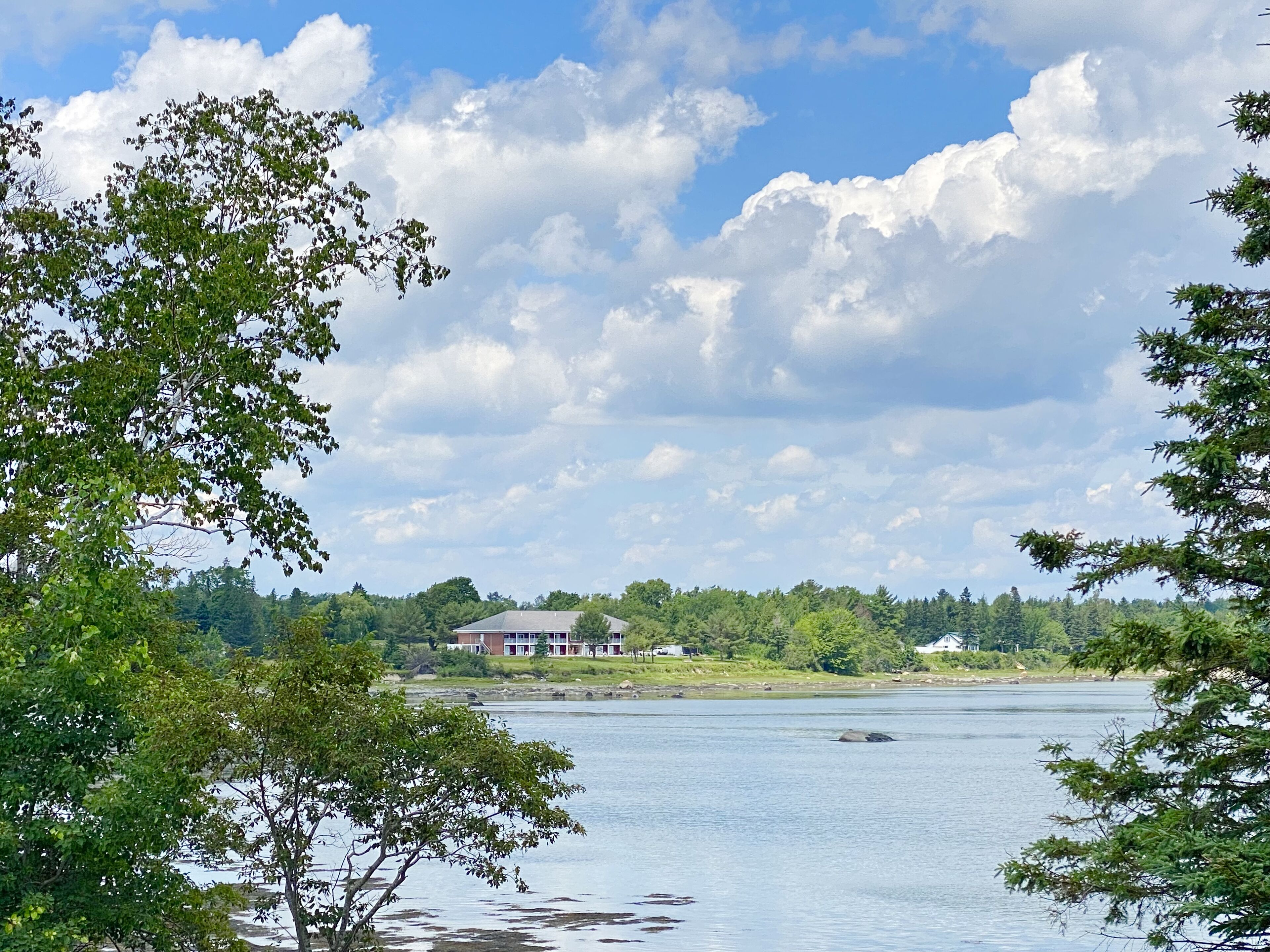 Une propriété au bord d’un lac, avec une maison entourée d’arbres et un ciel dégagé.